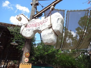 DSC01360.JPG